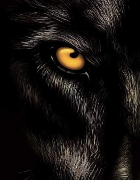 Chronique des Premiers Hommes - Tome 1 : L'Éveil des Âmes